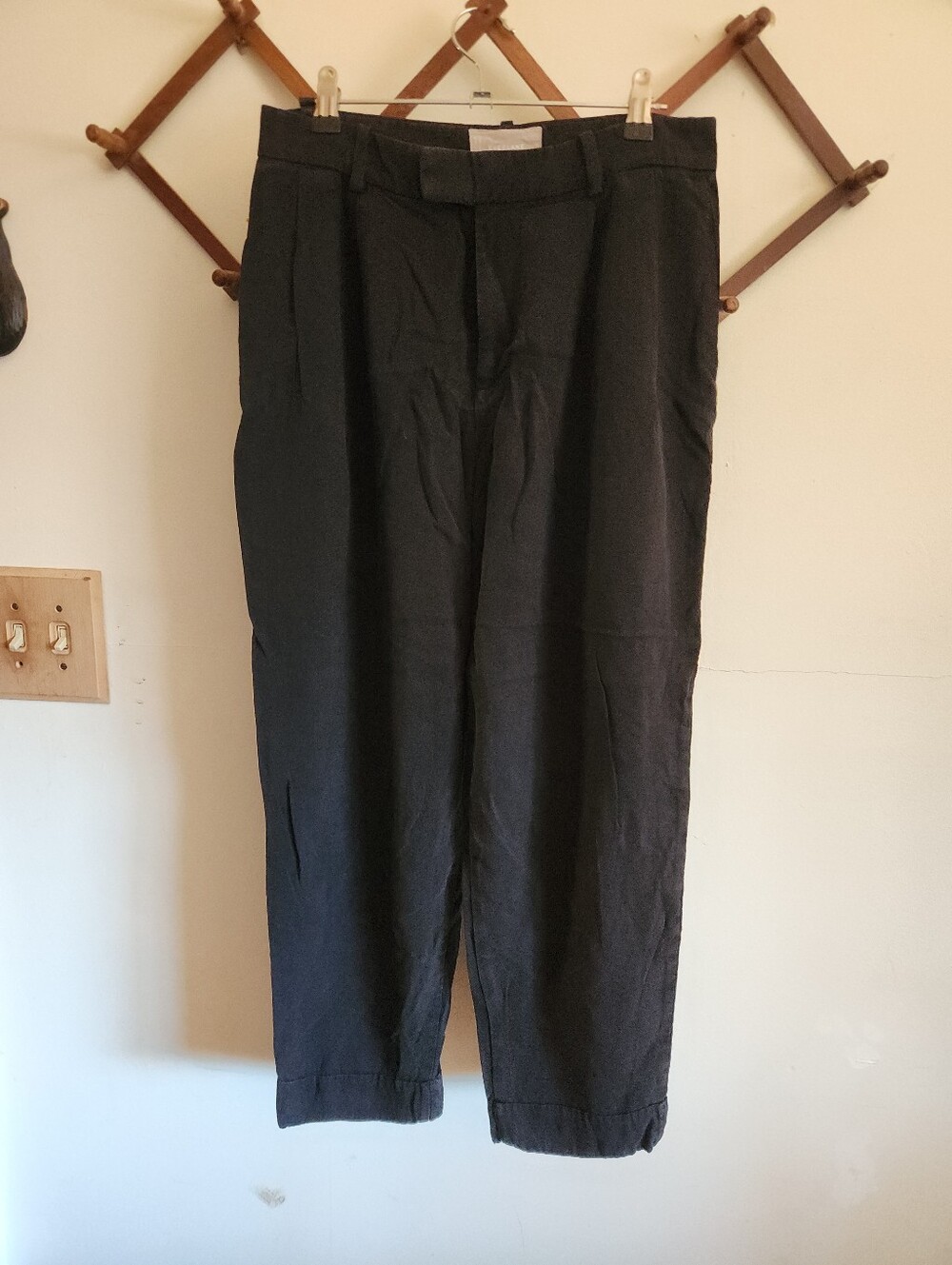 Everlane Black Pleated Tapered Leg Dress Pants Lyocell Small 4